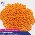 โรงงานรีไซเคิลพลาสติก ชลบุรี