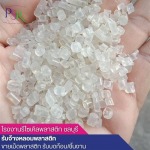 โรงงานรีไซเคิลพลาสติก ชลบุรี