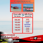 Boat to Koh Samet, Phe Pier - White Shark
