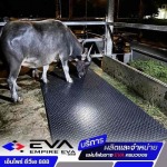 แผ่นยาง EVA ราคาโรงงาน พร้อมบริการตัดตามแบบ - เอ็มไพร์ อีวีเอ 888