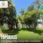 PREMIUM ARTIFICIAL GRASS COMPANY LIMITED
