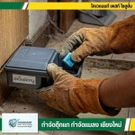 กำจัดตุ๊กแก กำจัดปลวก เชียงใหม่