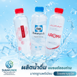 SIAMUNIX COMPANY LIMITED