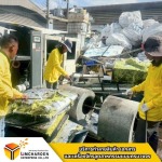 บริการรับกำจัดขยะโรงงาน - รับทำลายสินค้า ทำลายเครื่องจักร - ลิ้มเจริญ