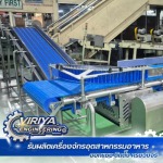 บริษัทรับติดตั้งสายพานวายเมช - รับผลิตเครื่องจักรอุตสาหกรรมอาหาร - V.E & S
