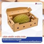 รับผลิตกล่องทุเรียน - โรงงานผลิตกล่องกระดาษลูกฟูก สมุทรปราการ - ฟอร์ต้า คาร์ตัน