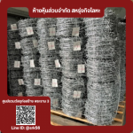 Saharungkijloha LP