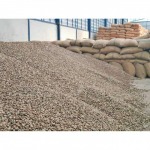 Wholesale cashews - Kiattikhun Phanich Shop