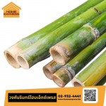 นั่งร้านไม้ไผ่ - ร้านวัสดุก่อสร้าง กรุงเทพ - วงศ์นรินทร์โฮมเอ็กซ์เพลส