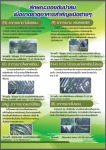 ปุ๋ยตราหัวสิงห์โต - J J Southern Co.,Ltd.