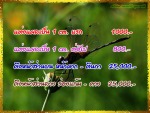 Tawee Clinic