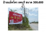 ป้ายอักษรโลหะ - ใบเฟิร์นโฆษณา