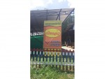 Seng Sawan Wood