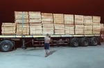 จำหน่ายไม้แบบก่อสร้างราคาโรงงานประจวบคีรีขันธ์  - Maduea Thong Co., Ltd.