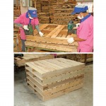 ลังไม้บรรจุภัณฑ์(Wooden Box) - พาเลทไม้ ดี ไอ ซี วู้ด ซัพพลาย 