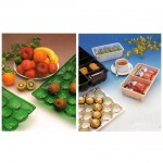 Rigid PVC Films for Foodstuff Packaging - แผ่นพลาสติกอุตสาหกรรม เบสิกส์ มาร์เก็ตติ้ง