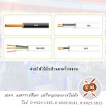  ร้านขายสายไฟฟ้า โคราช