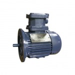 มอเตอร์กันระเบิด แบบหน้าแปลน (อินเดีย) / FRAMEPROOF MOTORS  - บริษัท เจริญเมืองแมชชินเนอรี่ จำกัด