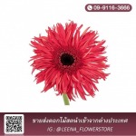 ร้านขายส่งดอกไม้สดใกล้ฉัน