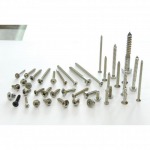 Screw Tapping Stainless - สกรูเกลียวปล่อย สแตนเลส 555 - บริษัท ที ซี สกรูน๊อต อินดัสทรี จำกัด