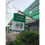 สินค้า 6 - ตั้งน่ำเส็งหล่อดอกยาง