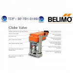 Globe Valve - บริษัท ทีดีพี อินเตอร์เทรด แอนด์ เอ็นจิเนียริ่ง จำกัด
