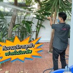 บริษัทกำจัดปลวก บางบัวทอง - กำจัดปลวก บางบัวทอง เอส วี โฮมอินเตอร์
