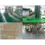 งานเคลือบไฟเบอร์กลาส - บริษัท ไทยเซอร์วิสเพ้นท์ จำกัด