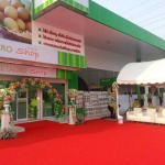 สินค้า 28 - หนึ่งเต้นท์รามอินทรา