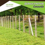 รับติดตั้งรั้วลวดหนาม