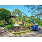 228300 - Copy - รถเครนรับจ้าง ขนส่งต้นไม้ เอ แอนด์ เอ เครน