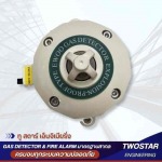 จำหน่ายและติดตั้งระบบตรวจจับก๊าซติดตั้งถาวร (Fixed Gas Detector)
