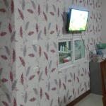 วอลล์เปเปอร์