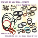 ซีล โอริง - ขาย จำหน่ายตลับลูกปืน สายพาน โดย นวพงษ์ ดิสทริบิวชั่น (อมตะ)