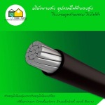 สายอลูมิเนียมหุ้มและสายอลูมิเนียมเปลือย (Aluminum Conductors Insulated and Bare) - อุปกรณ์ไฟฟ้า แรงสูง สโตร์ไฟฟ้า 