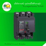 Molded Cricuit Breaker - อุปกรณ์ไฟฟ้า แรงสูง สโตร์ไฟฟ้า 