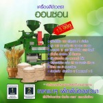 ขายเครื่องสีข้าวขนาดเล็ก ราคาถูก สีข้าวระบบ 2 หัว