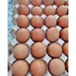 ไข่ไก่จากฟาร์ม - ฟาร์มไข่ไก่ชลบุรี ขายส่งไข่ไก่ราคาถูก - ฟาร์มยู่สูงไข่สด