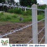 ติดตั้งรั้วลวดหนาม - รับล้อมรั้วลวดหนาม พีเค-เฟนซ์