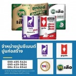 ร้านขายปูนซีเมนต์ ปูนตราเสือ ปูนตราจิงโจ้ ปูนลูกดิ่ง ปูนทีพีไอ พระราม2 พุทธบูชา