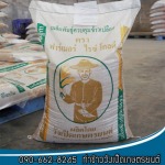 จำหน่ายเมล็ดพันธุ์ควบคุมข้าวเปลือก พิษณุโลก - ร้านขายเมล็ดพันธุ์ข้าว พิษณุโลก-วังเป็ดเกษตรยนต์