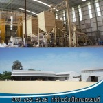 โรงสีข้าวพิษณุโลก รับซื้อข้าวหอมมะลิ ข้าวเสาไห้ - ร้านขายเมล็ดพันธุ์ข้าว พิษณุโลก-วังเป็ดเกษตรยนต์