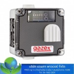 เครื่องตรวจจับแก๊สรั่ว (Threshold gas detectors DG.EN)