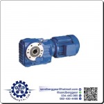 มอเตอร์ HELICAL BEVEL GEAR ขายส่ง