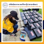 บริษัทกำจัดหนู แมลง ชลบุรี พัทยา - ฉีดปลวกชลบุรี มิตรภาพ เซอร์วิส กรุ๊ป