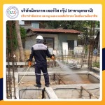 รับกำจัดปลวกอุดรธานี - กำจัดปลวกอุดร มิตรภาพ เซอร์วิส กรุ๊ป