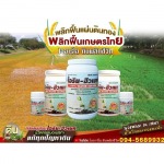 ขายส่งสารอินทรีย์สกัดเข้มข้น นนทบุรี - โรงงานผลิตปุ๋ยน้ำ OEM-นิริน อินเตอร์เทรด