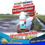 ขายส่งยาแก้ดินดาน ดินแข็ง นนทบุรี - โรงงานผลิตปุ๋ยน้ำ OEM-นิริน อินเตอร์เทรด