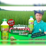 ขายส่งยาช่วยให้รากต้นไม้แข็งแรง นนทบุรี - โรงงานผลิตปุ๋ยน้ำ OEM-นิริน อินเตอร์เทรด