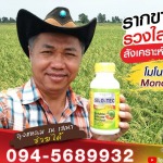 ขายส่งโมโน-ซิลิซิค แอซิด นนทบุรี - โรงงานผลิตปุ๋ยน้ำ OEM-นิริน อินเตอร์เทรด